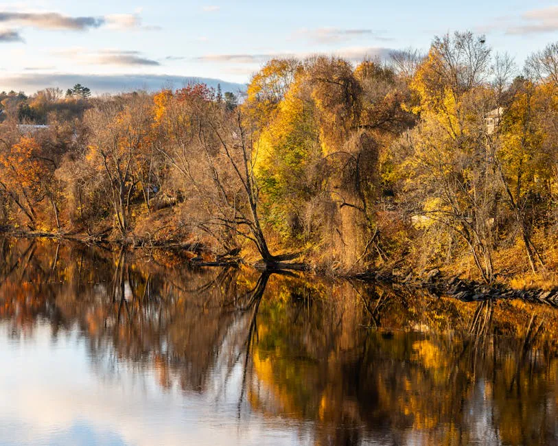 Sebasticook River