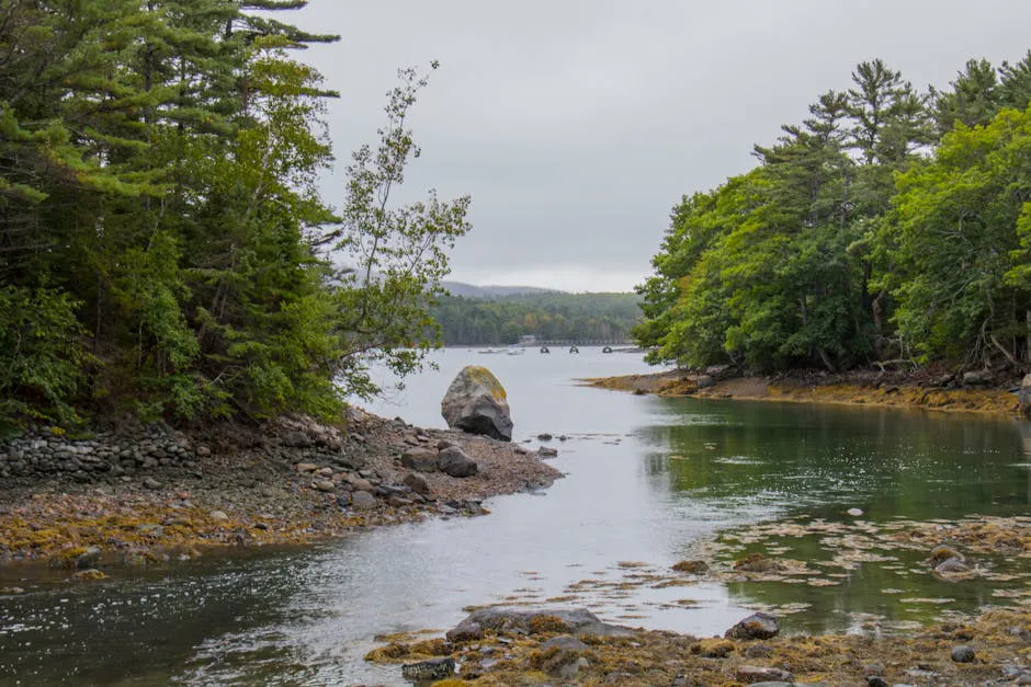 Union River
