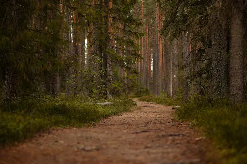 Bates-Morse Mountain Conservation Area