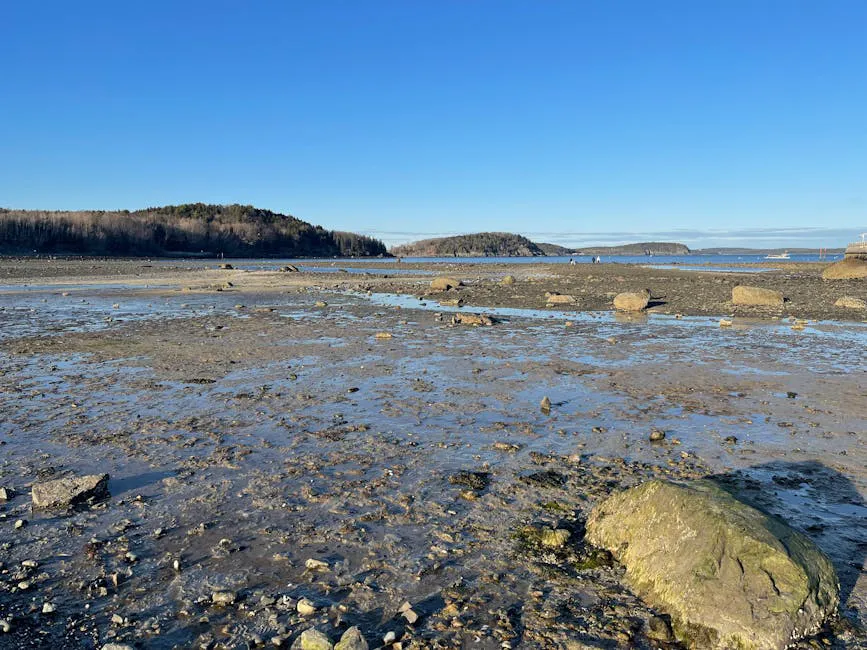 Crescent Beach State Park