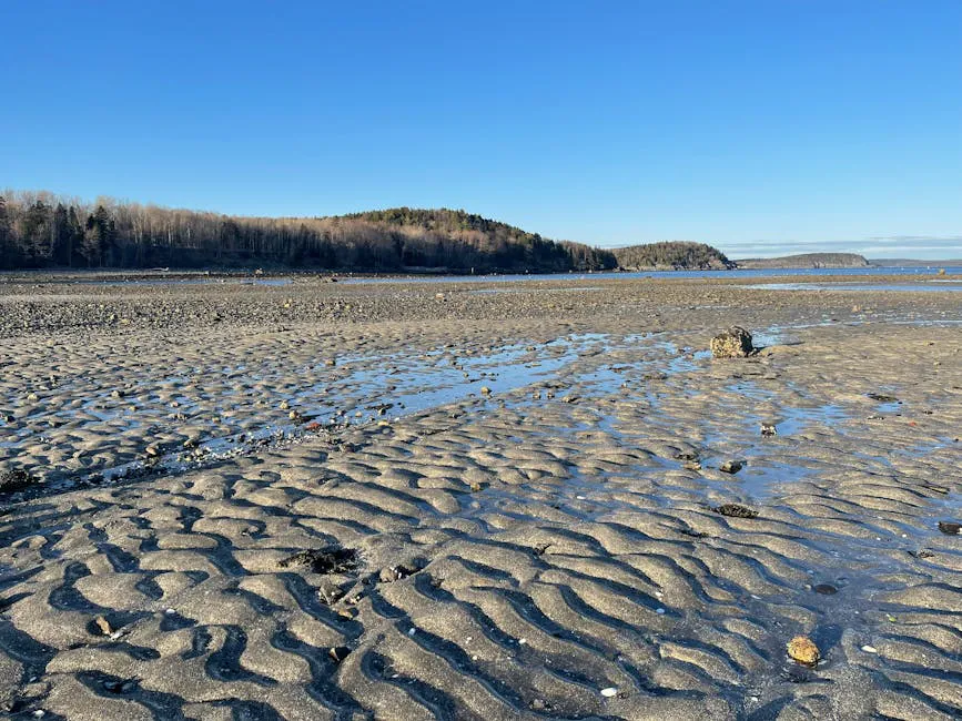 Dodge Point Preserve