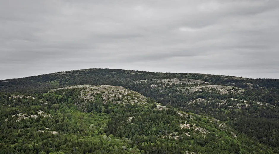 Frye Mountain Wildlife Management Area