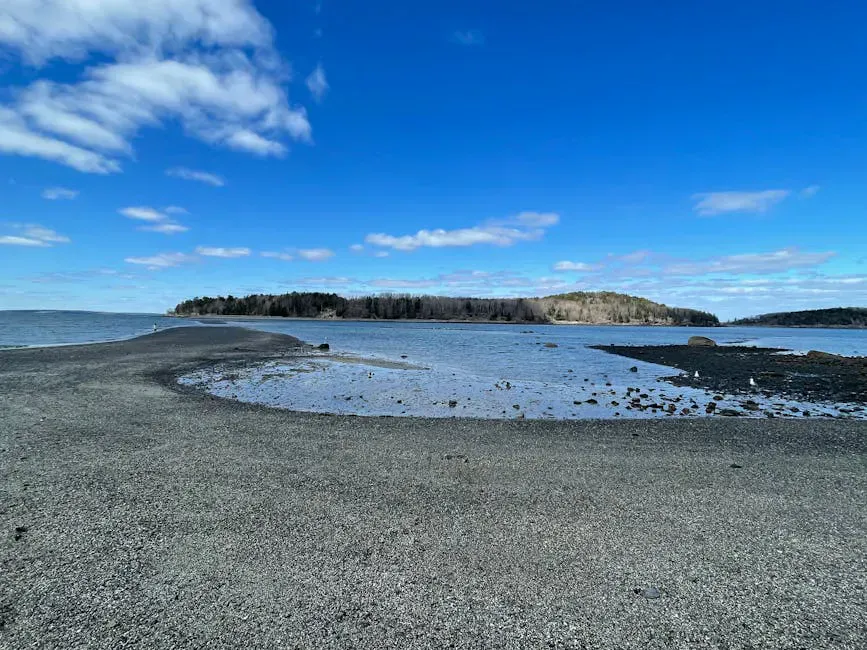 Holbrook Island Sanctuary