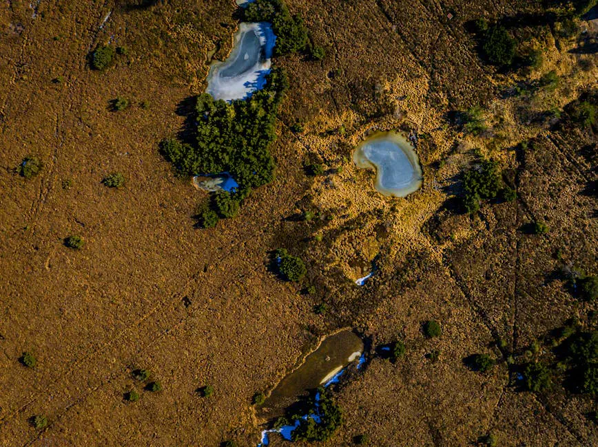 Kennebunk Plains Preserve