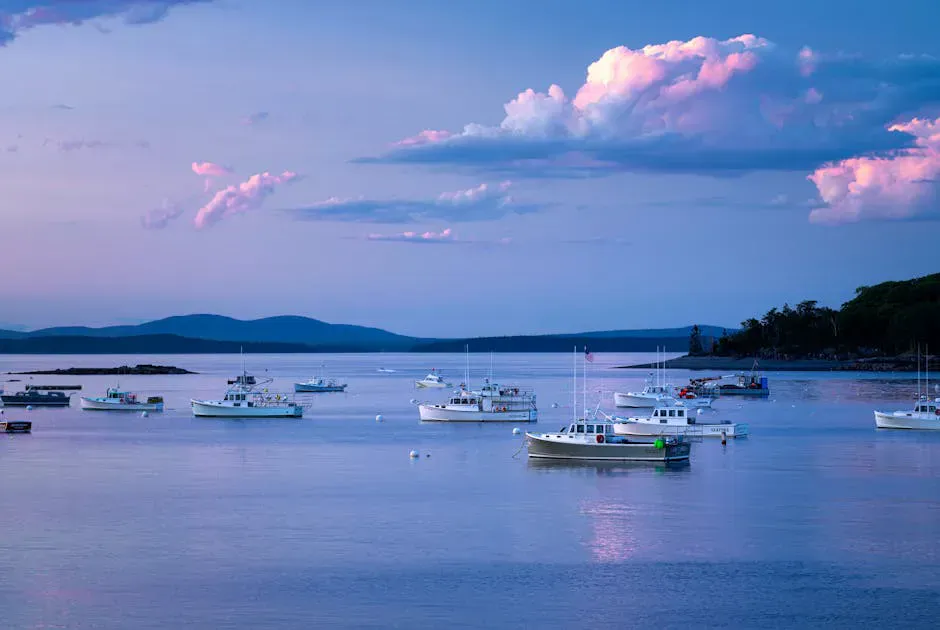 Lily Bay State Park