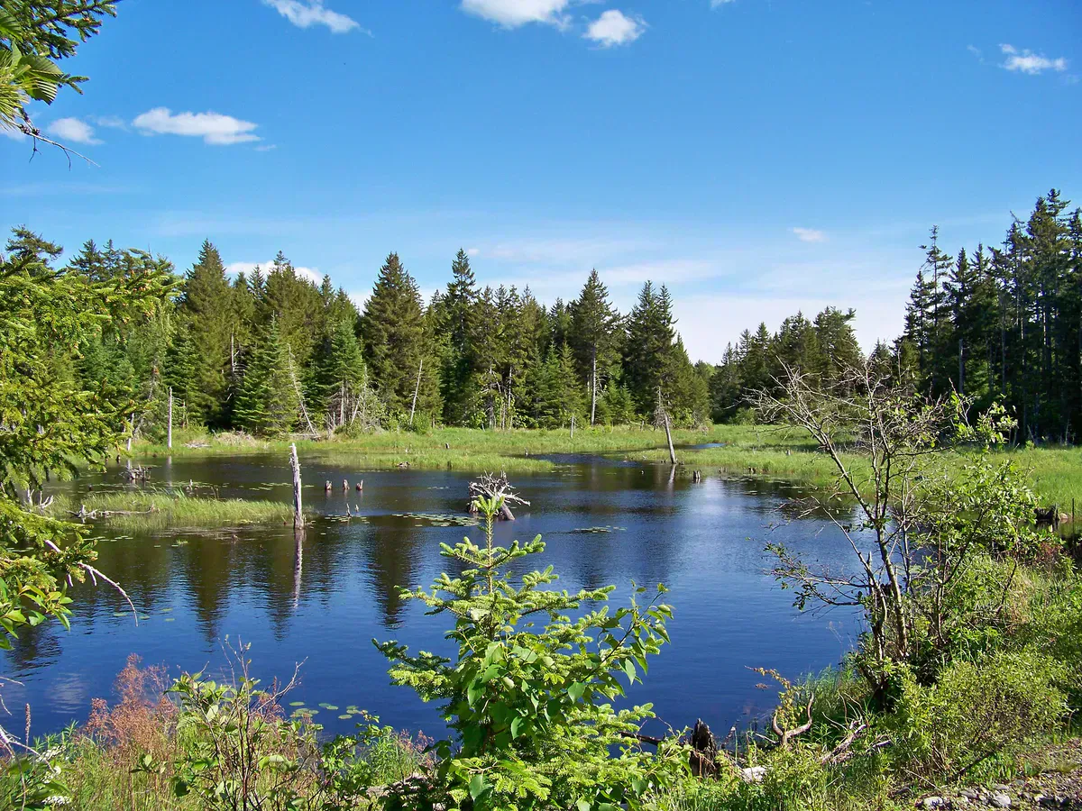 Moosehorn National Wildlife Refuge