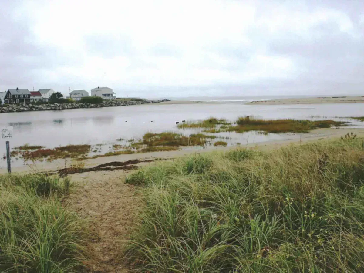 Rachel Carson National Wildlife Refuge