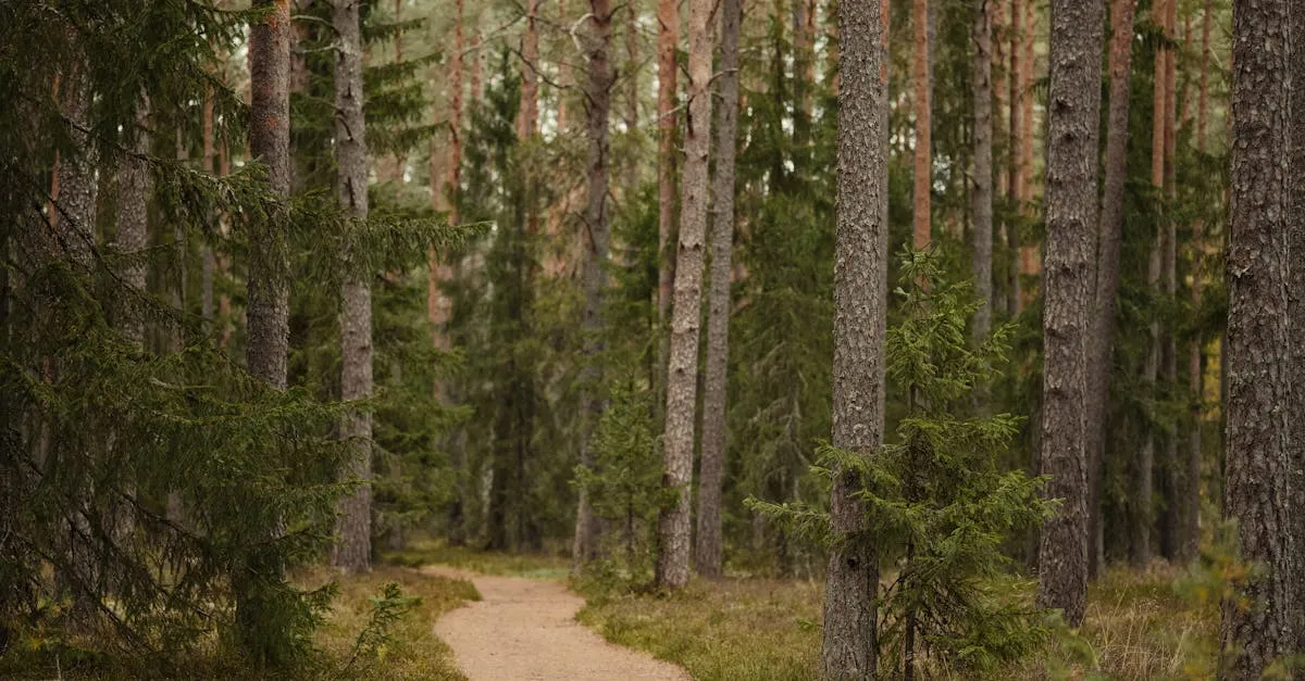 Vaughan Woods State Park