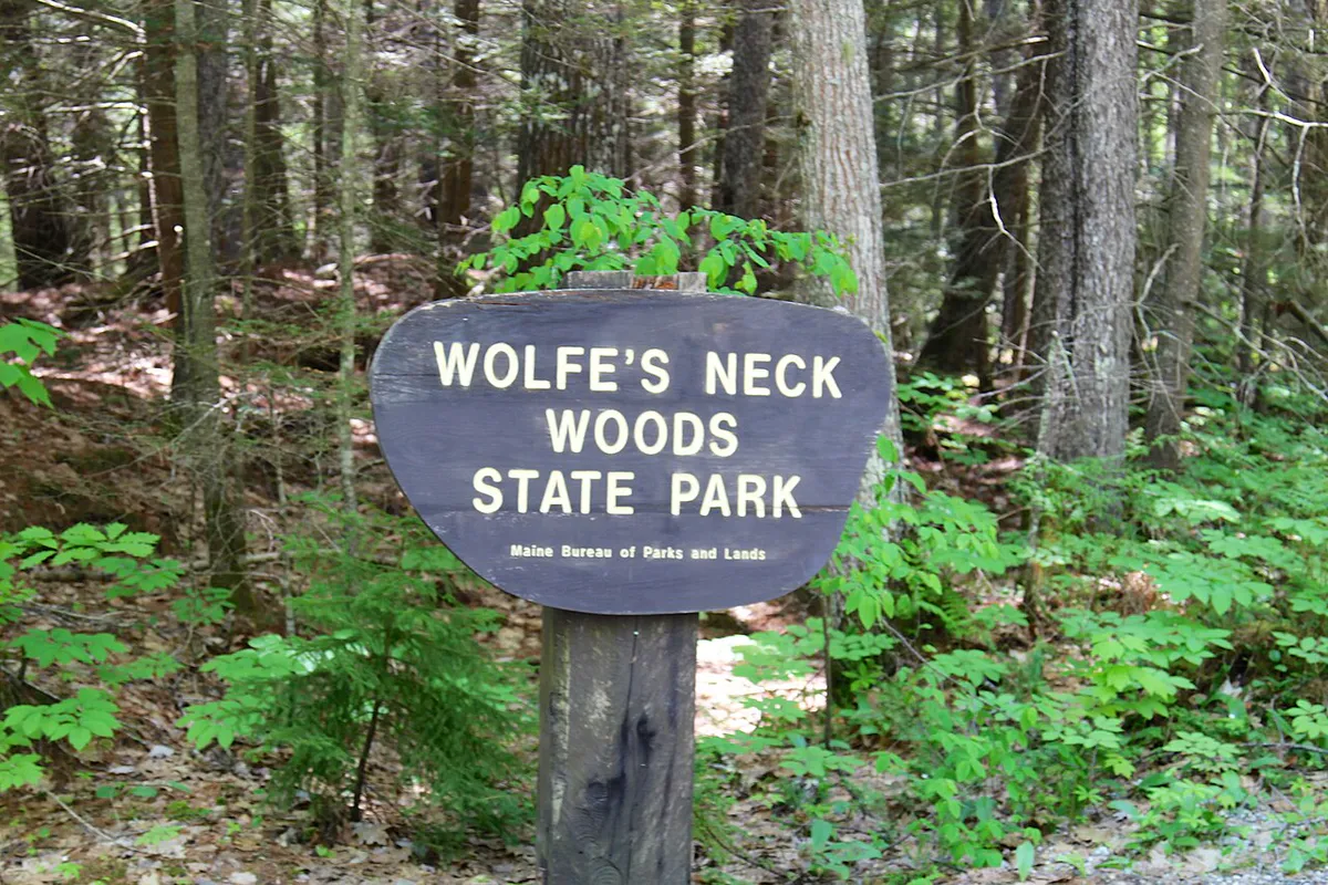 Wolfe's Neck Woods State Park