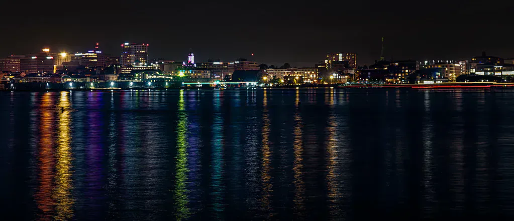 Bug Light