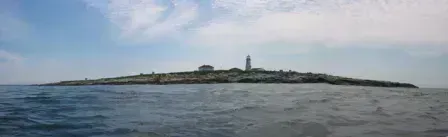 Machias Seal Island