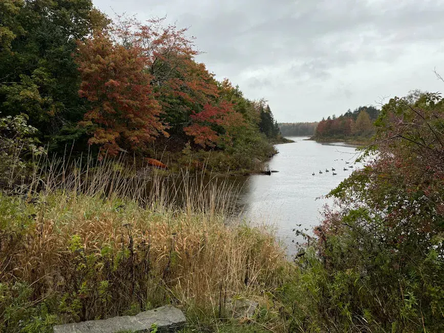 Moxie Falls