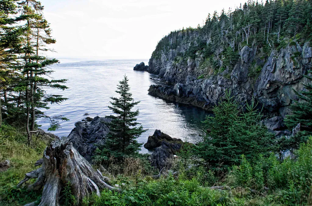 Quoddy Head Coastal Trail
