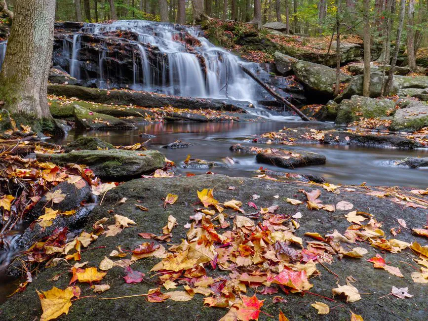 Cascade Falls (Saco)