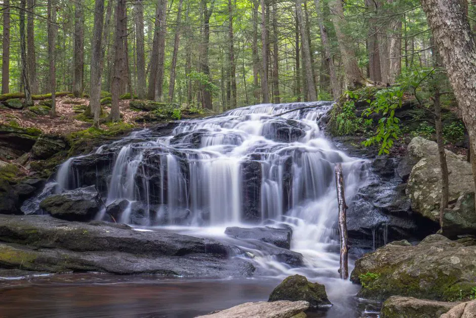 Dingley Falls
