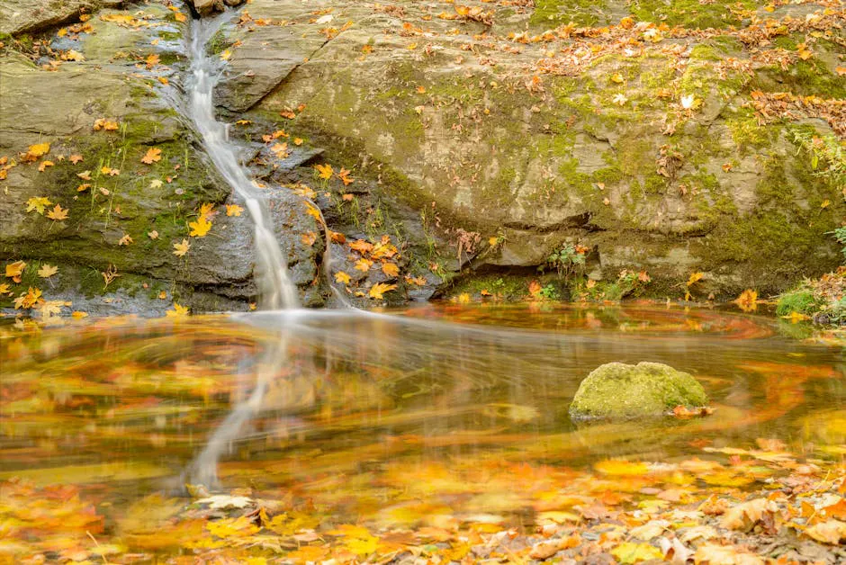 Hay Brook Falls