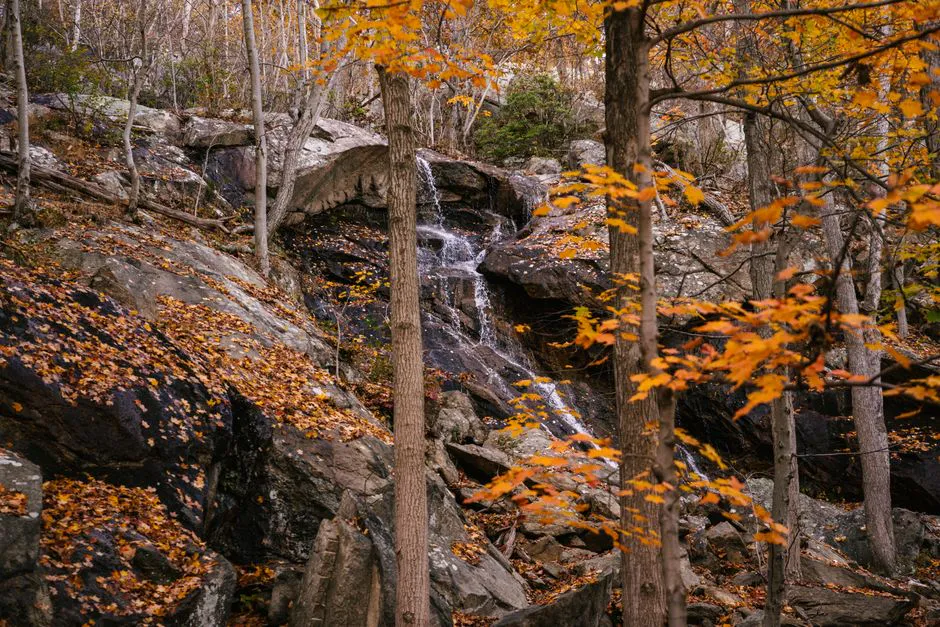 Kezar Falls