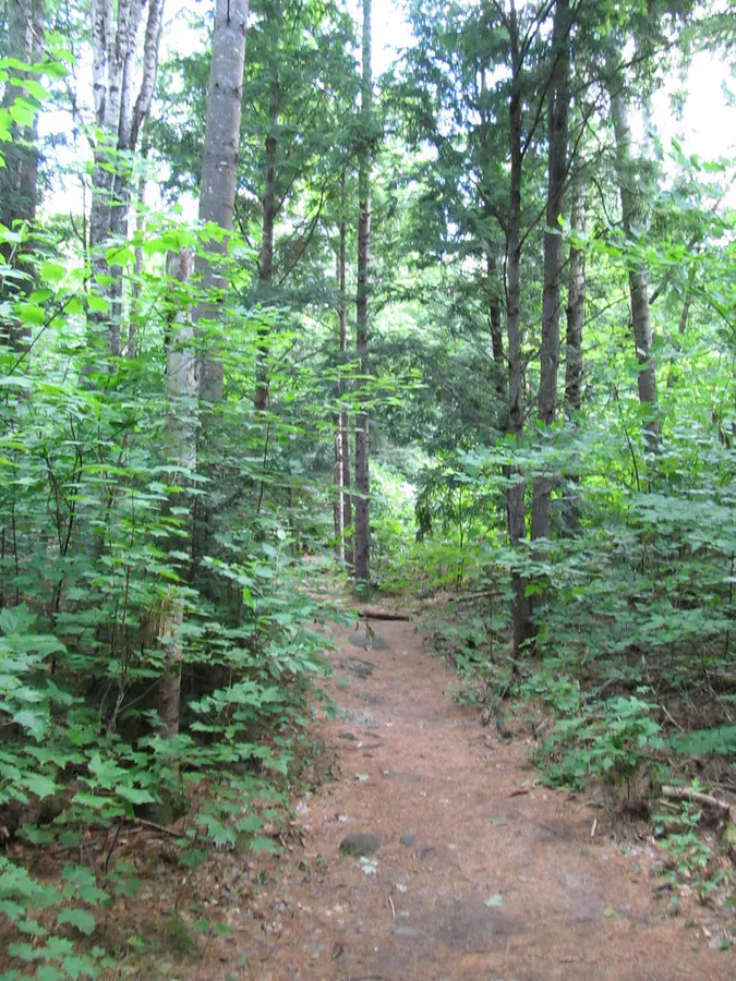 Step Falls