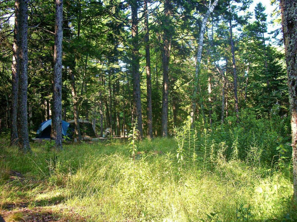 BLACKWOODS_CAMPGROUND