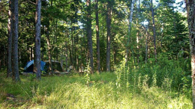 BLACKWOODS_CAMPGROUND