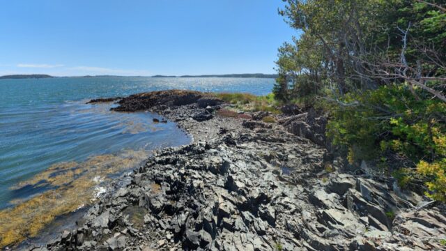 Shackford Head State Park